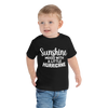 Sunshine Mixed With A Little Hurricane Toddler Short Sleeve Tee