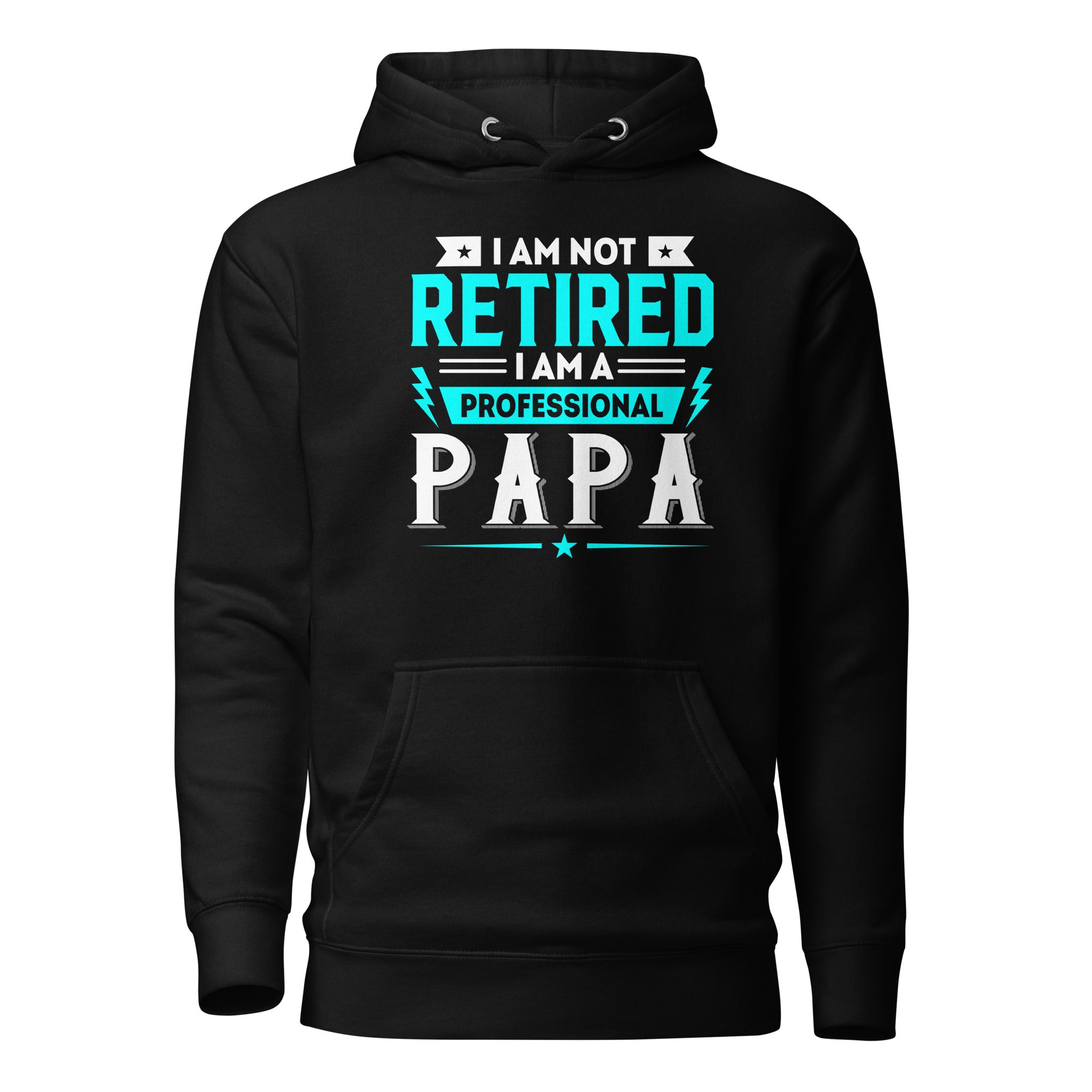 I Am Not Retired I Am A Professional Dad Unisex Hoodie