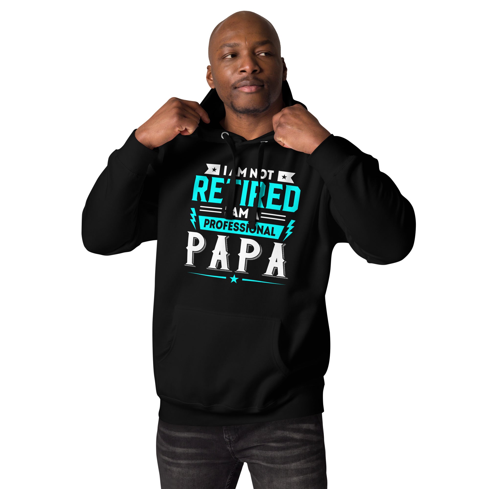 I Am Not Retired I Am A Professional Dad Unisex Hoodie