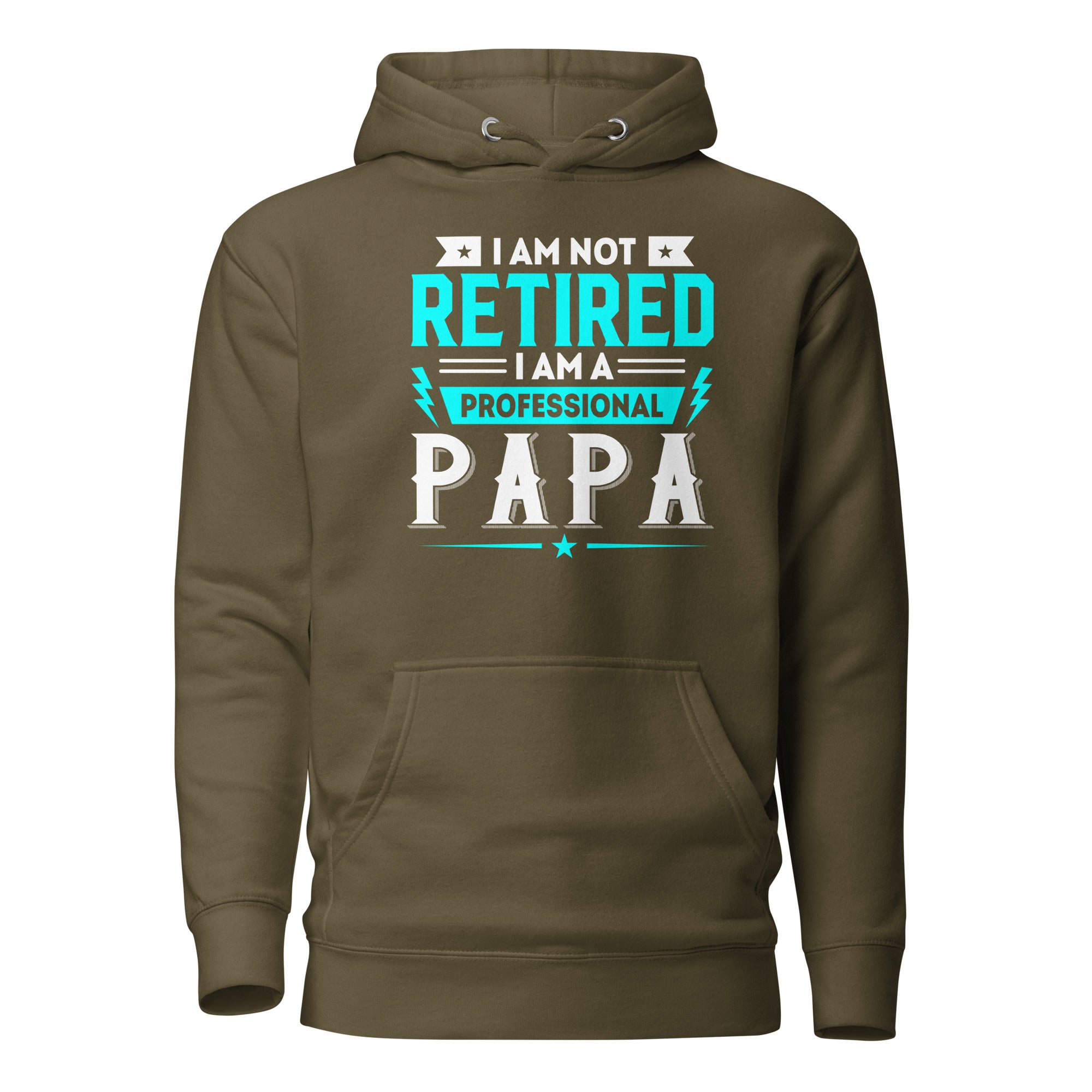 I Am Not Retired I Am A Professional Dad Unisex Hoodie