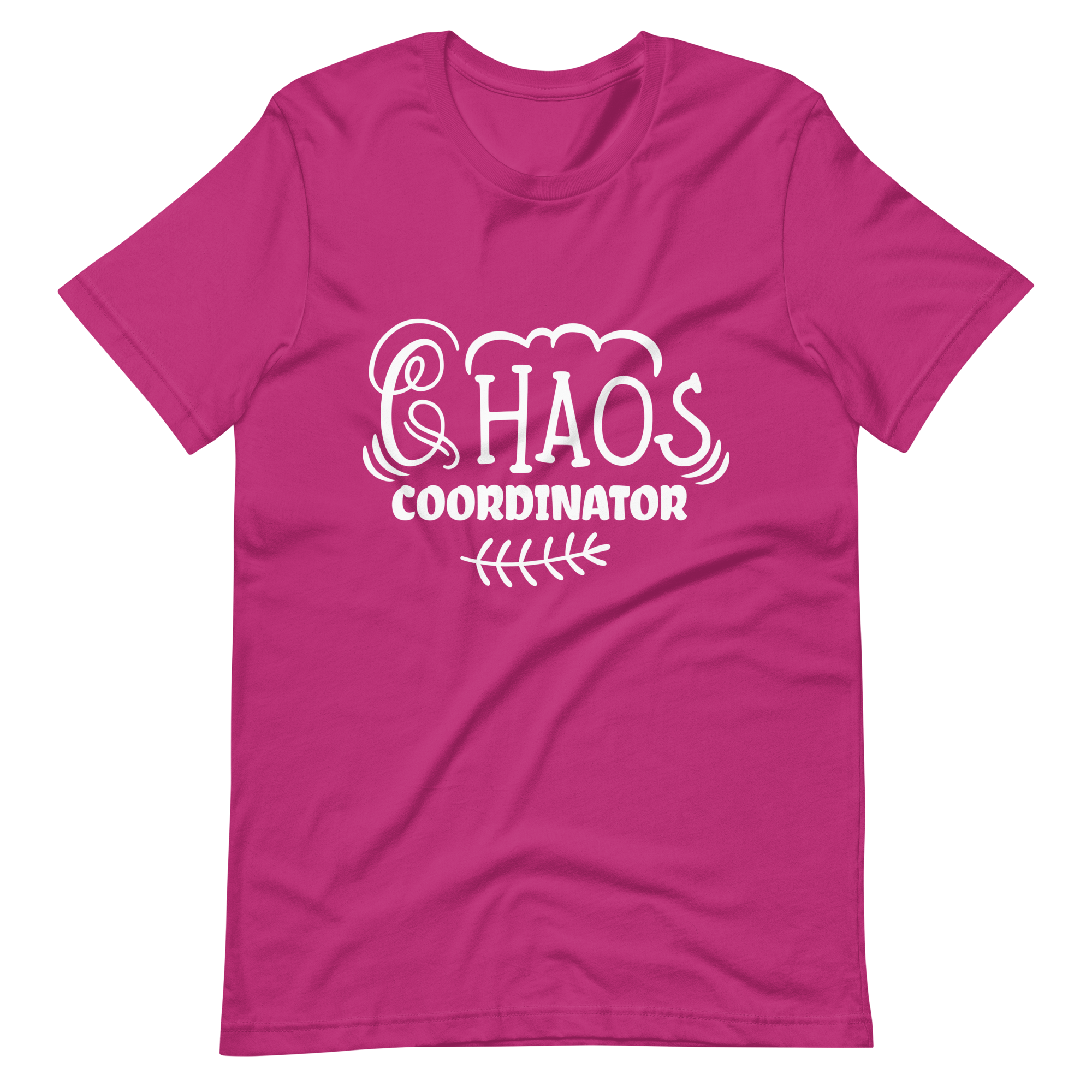 Chaos Coordinator Unisex t-shirt