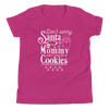 Don't Worry Santa Mommy Didn't Make The Cookies Youth Short Sleeve T-Shirt