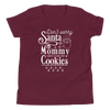 Don't Worry Santa Mommy Didn't Make The Cookies Youth Short Sleeve T-Shirt