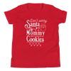 Don't Worry Santa Mommy Didn't Make The Cookies Youth Short Sleeve T-Shirt